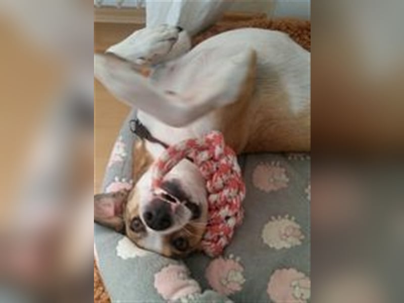 CAROLINE ❤  wartet in 90562 Heroldsberg auf Dich