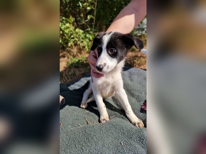 L.A. ❤ wartet in 24582 Bordesholm