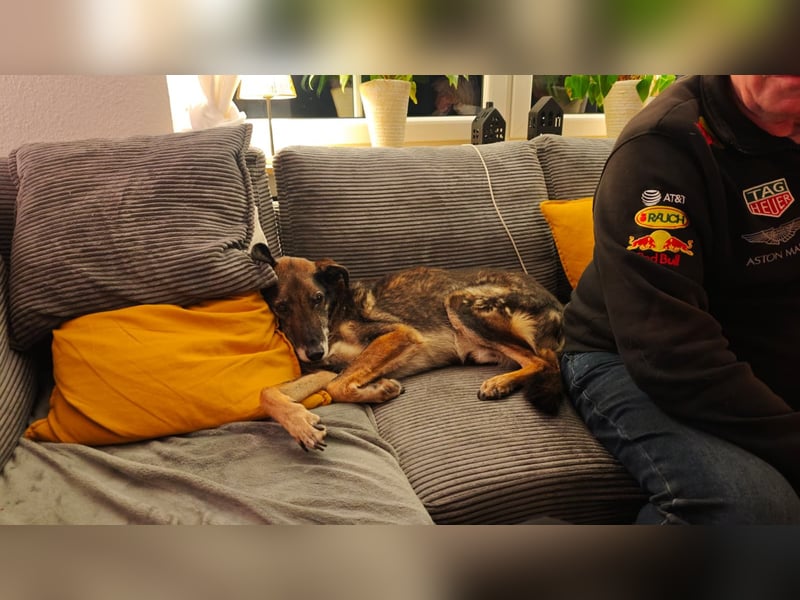 VICTOR ❤  wartet in 45770 Marl auf Dich