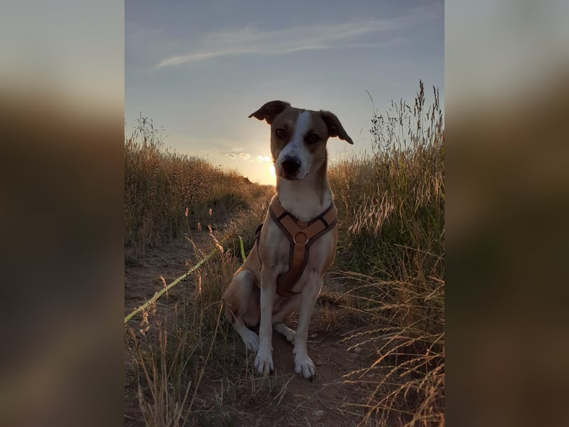 CAROLINE ❤  wartet in 90562 Heroldsberg auf Dich