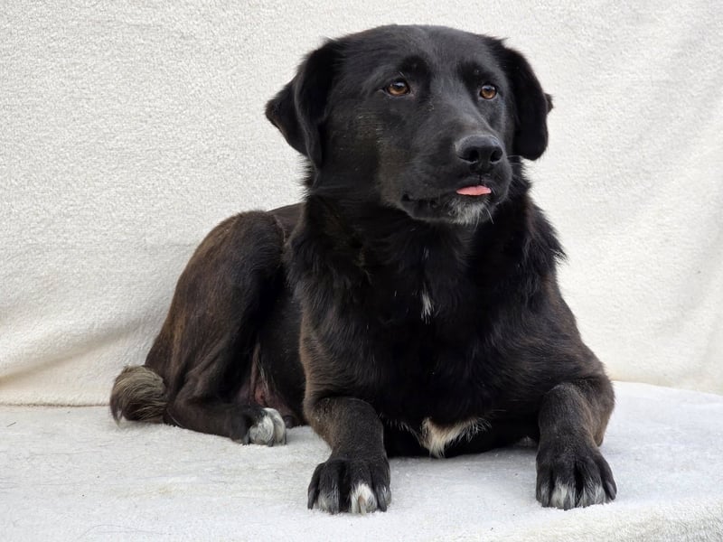 Naomi – Eine sanfte Seele mit mutigem Herzen