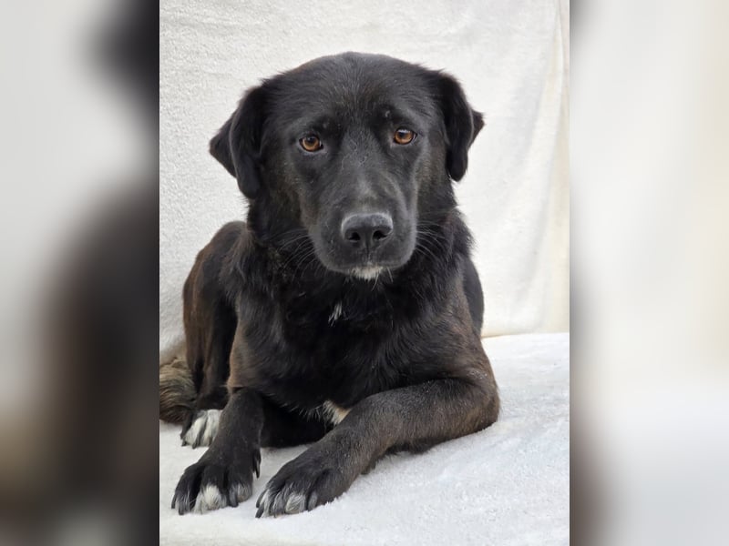 Naomi – Eine sanfte Seele mit mutigem Herzen