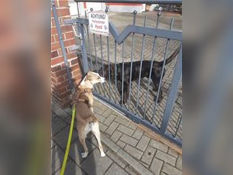 CAROLINE ❤  wartet in 90562 Heroldsberg auf Dich