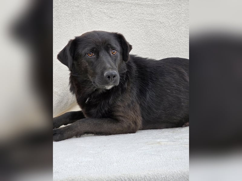 Naomi – Eine sanfte Seele mit mutigem Herzen