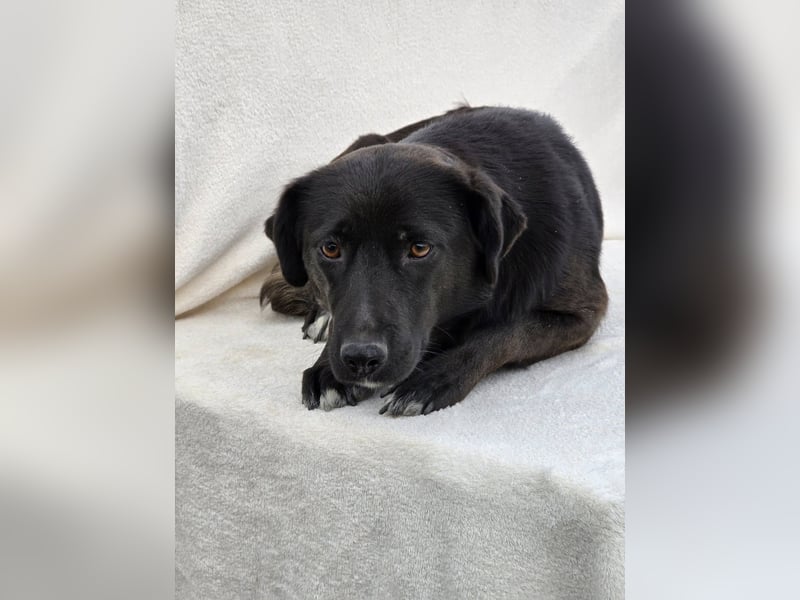 Naomi – Eine sanfte Seele mit mutigem Herzen