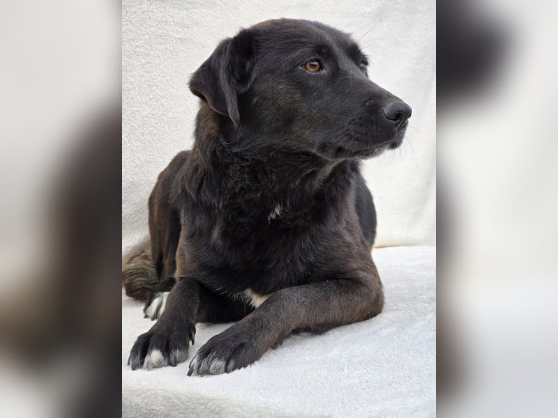 Naomi – Eine sanfte Seele mit mutigem Herzen