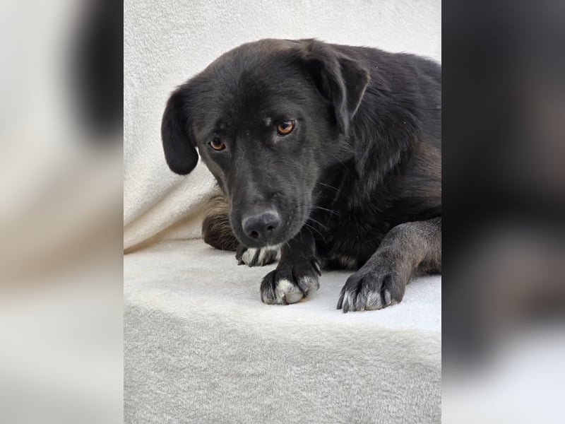 Naomi – Eine sanfte Seele mit mutigem Herzen