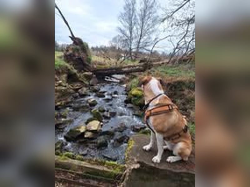 CAROLINE ❤  wartet in 90562 Heroldsberg auf Dich