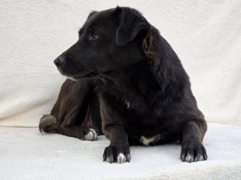 Naomi – Eine sanfte Seele mit mutigem Herzen