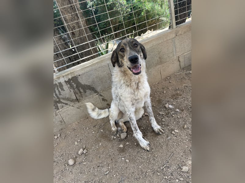 CLODETTE - lieb und menschenbezogen