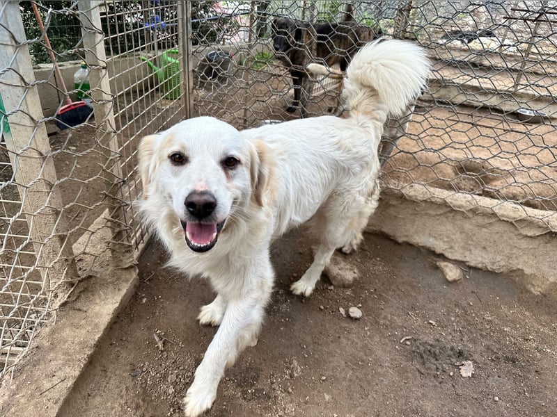 GAETANO - so schön wie ein Coverboy