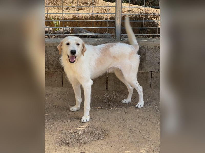 ALBERT - soooooo nett & toll