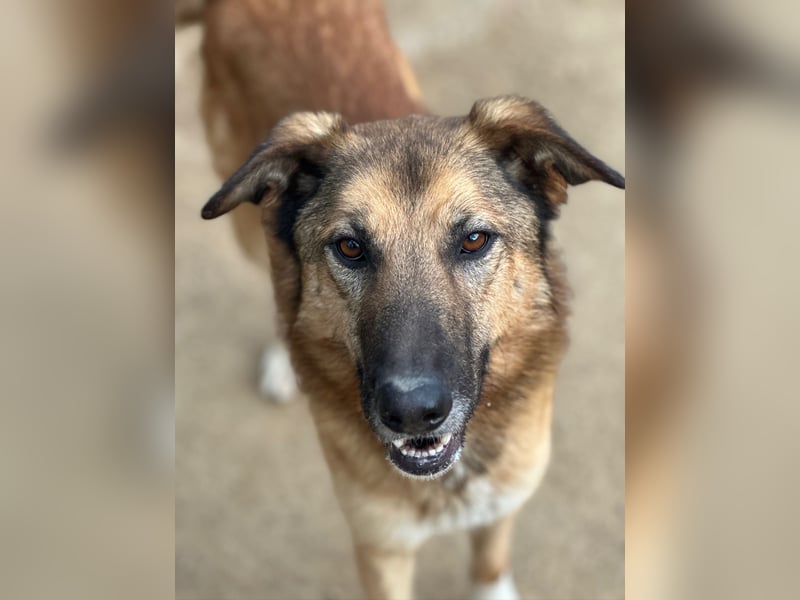 DANNY - sensibel & menschenbezogen