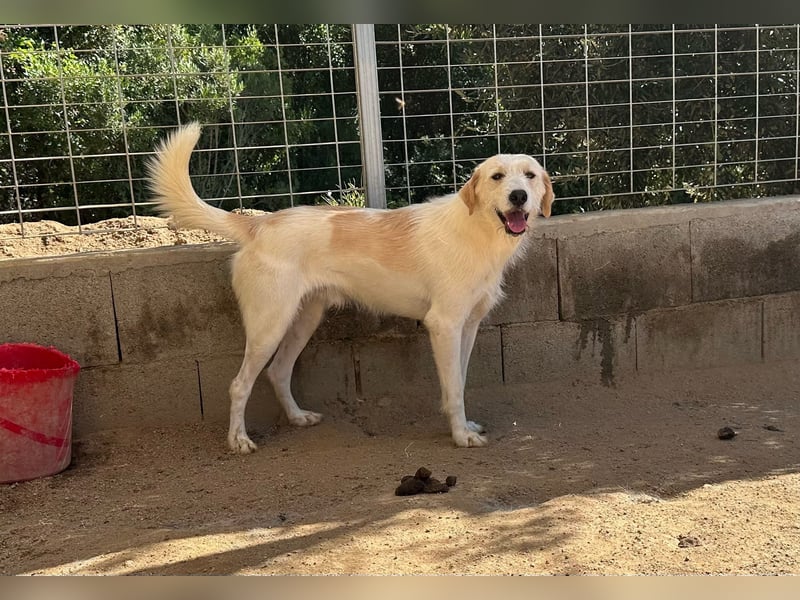 ALBERT - soooooo nett & toll