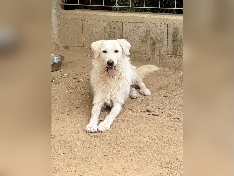 BONNY - so lieb und so hübsch