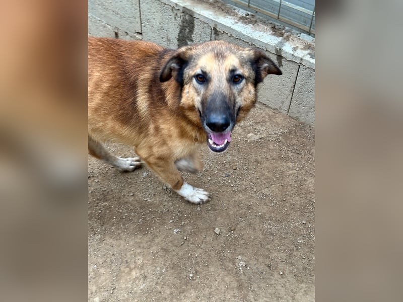 DANNY - sensibel & menschenbezogen