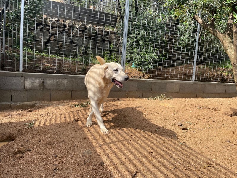 PINKO - mit den liebsten Augen der Welt