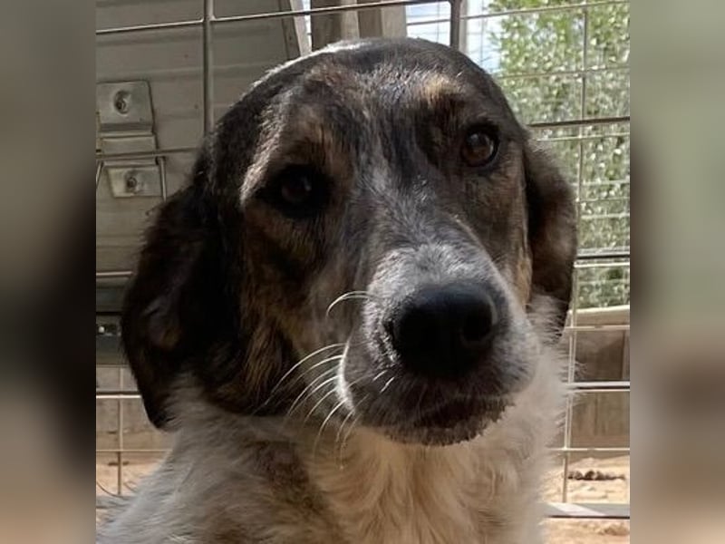 CLODETTE - lieb und menschenbezogen