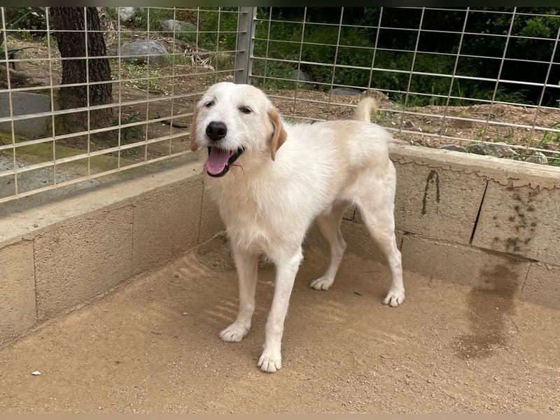 ALBERT - soooooo nett & toll