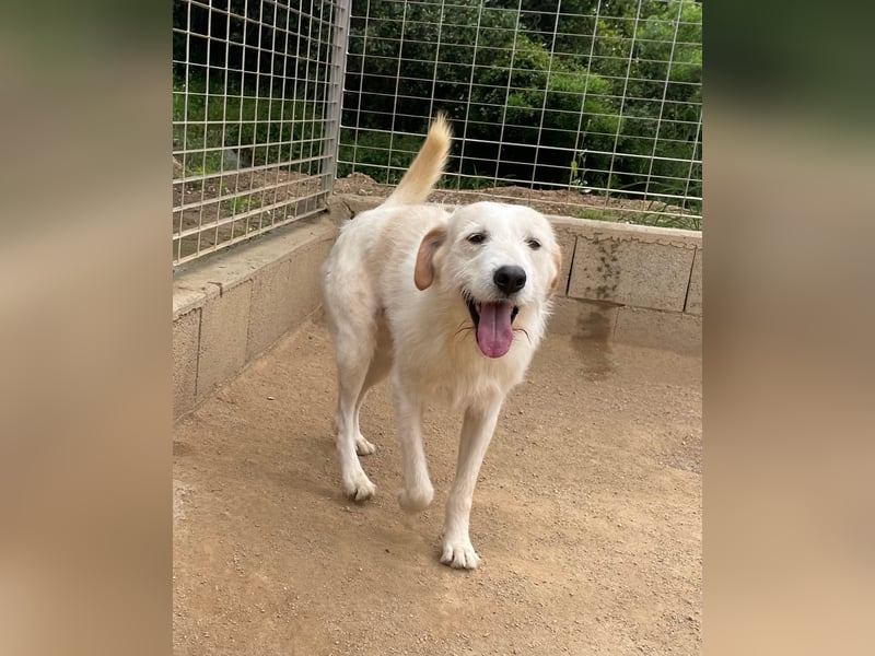 ALBERT - soooooo nett & toll