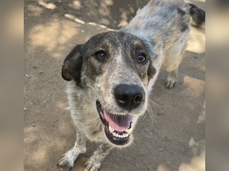 CLODETTE - lieb und menschenbezogen