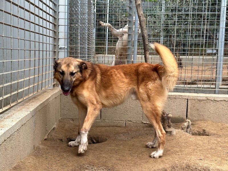 DANNY - sensibel & menschenbezogen