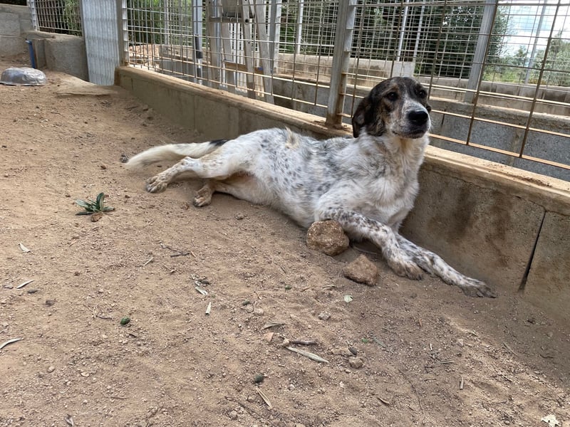 CLODETTE - lieb und menschenbezogen