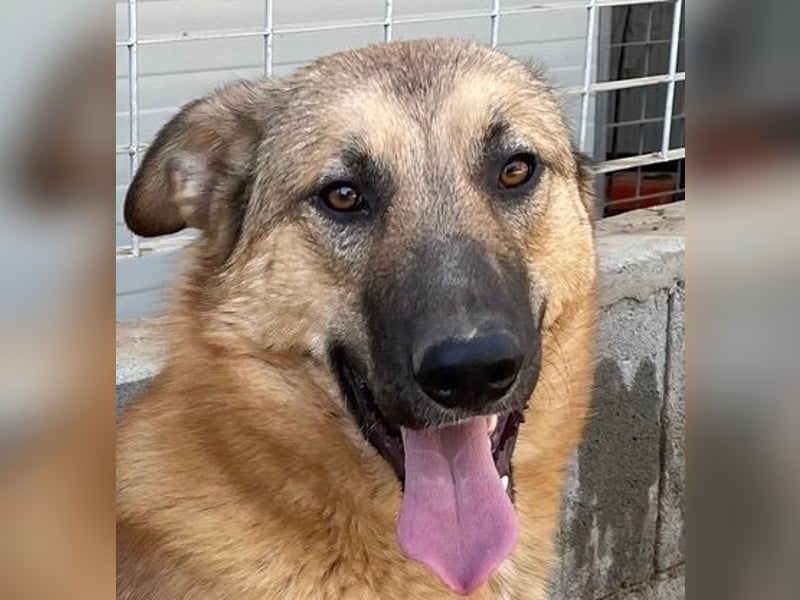 DANNY - sensibel & menschenbezogen