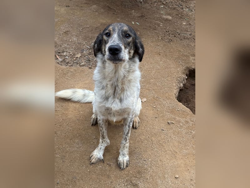CLODETTE - lieb und menschenbezogen