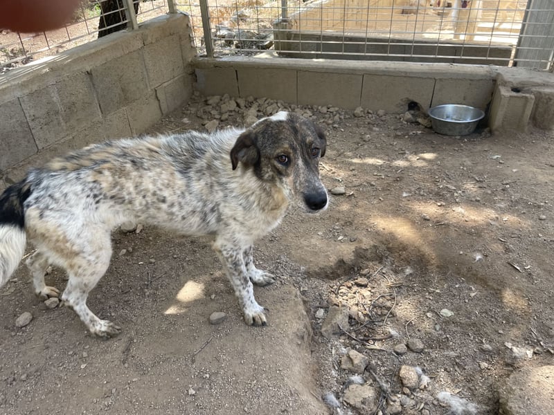 CLODETTE - lieb und menschenbezogen