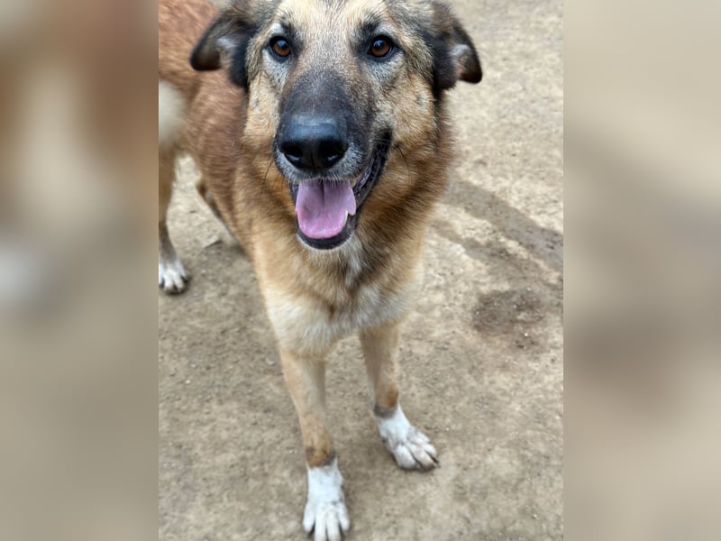 DANNY - sensibel & menschenbezogen