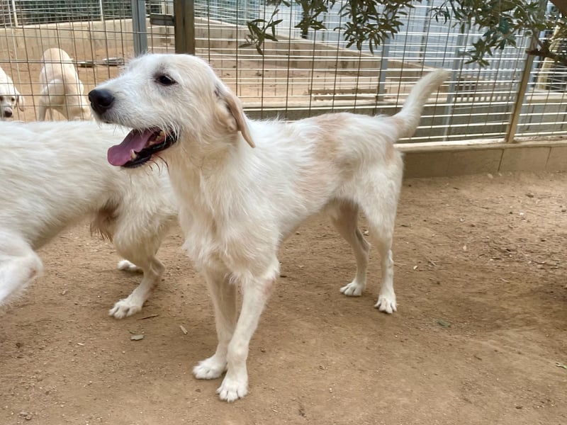 ALBERT - soooooo nett & toll