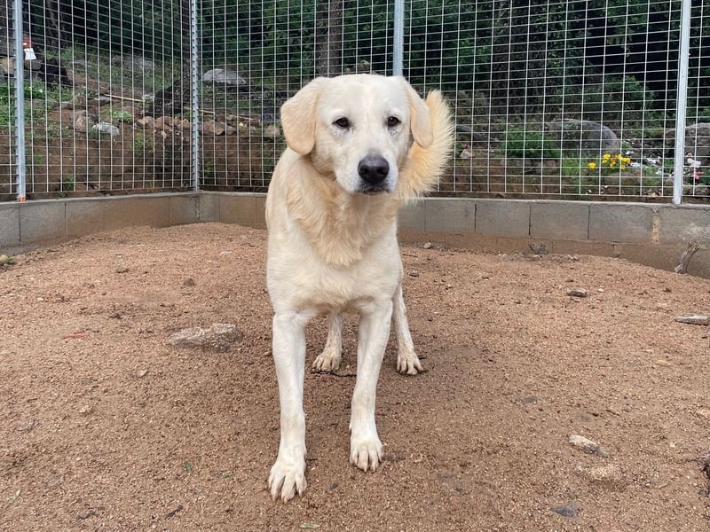 PINKO - mit den liebsten Augen der Welt