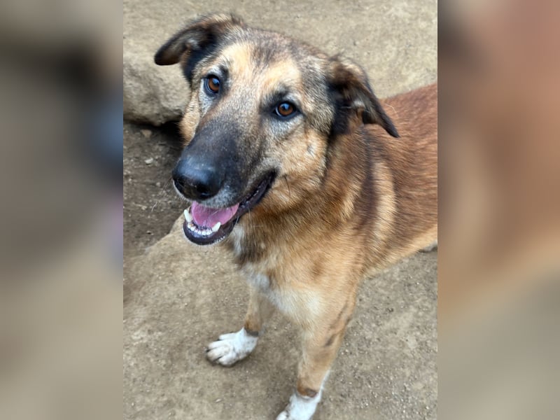 DANNY - sensibel & menschenbezogen