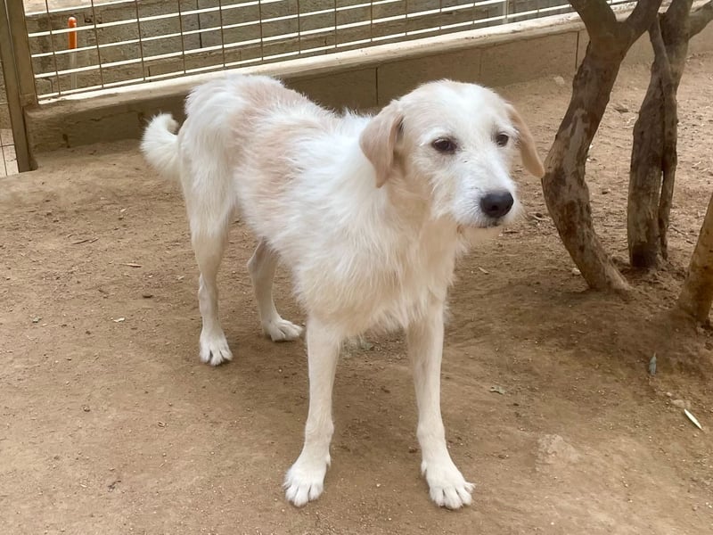 ALBERT - soooooo nett & toll