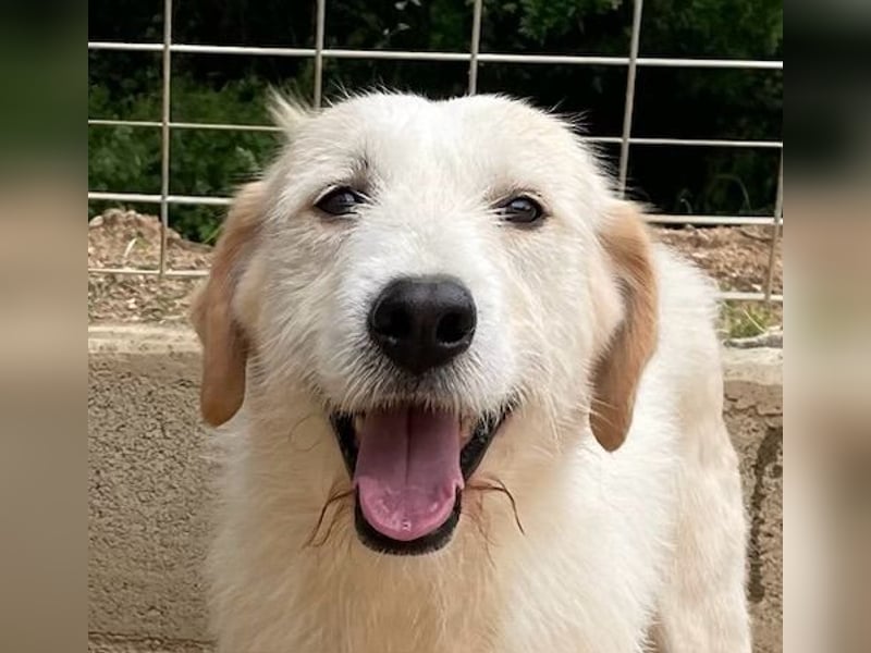 ALBERT - soooooo nett & toll