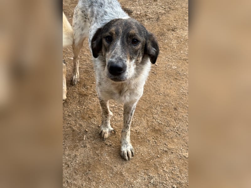 CLODETTE - lieb und menschenbezogen