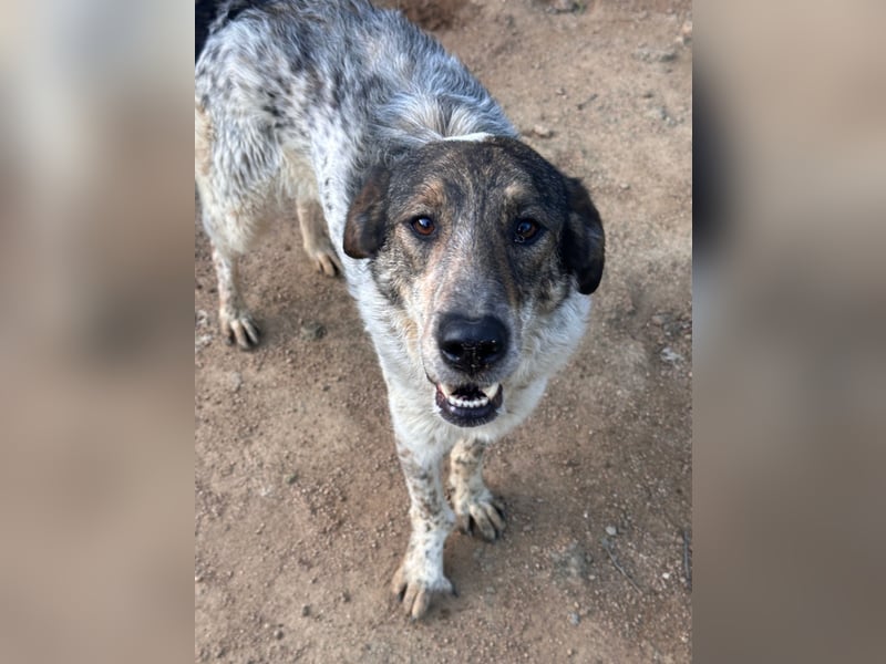 CLODETTE - lieb und menschenbezogen