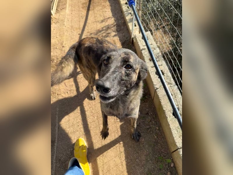 MANDY - agile und supernette Wasserratte