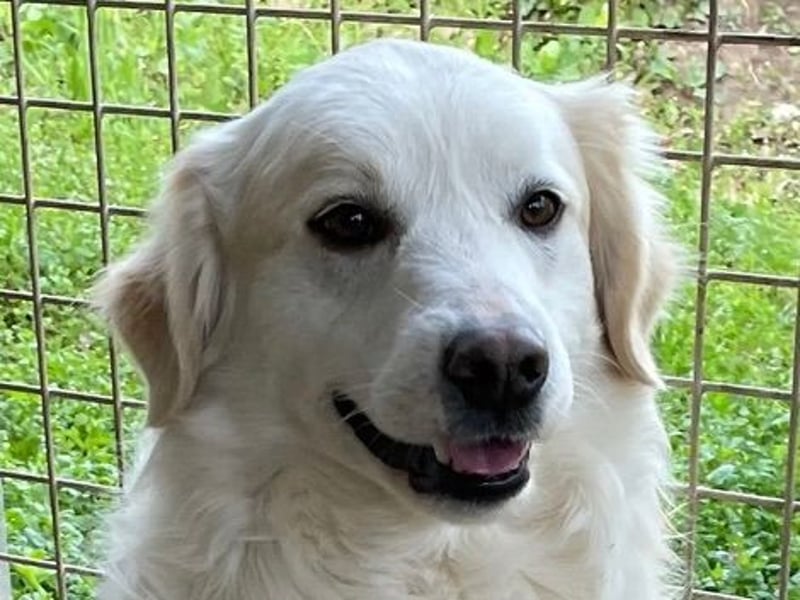 GAETANO - so schön wie ein Coverboy