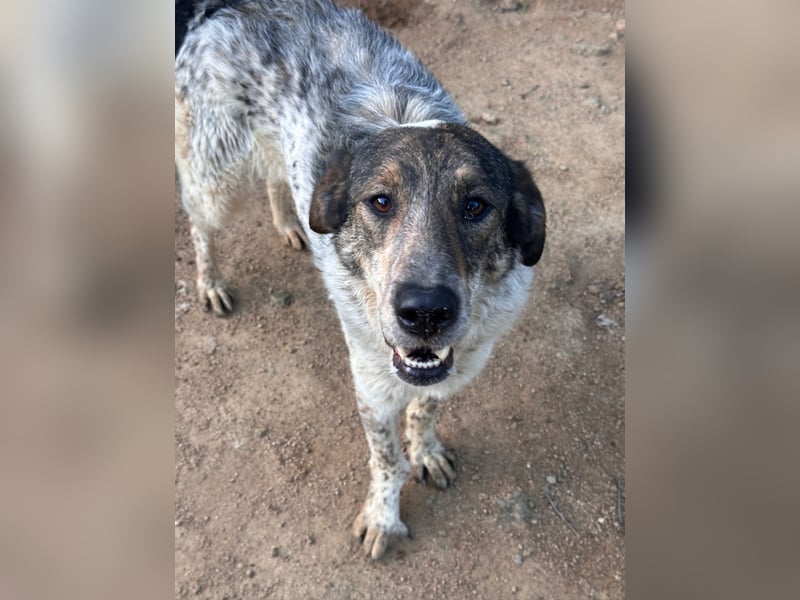 CLODETTE - lieb und menschenbezogen