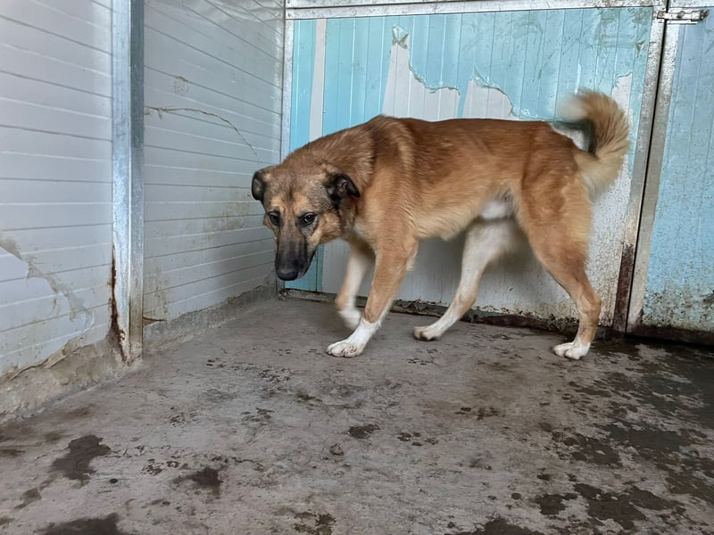 DANNY - sensibel & menschenbezogen