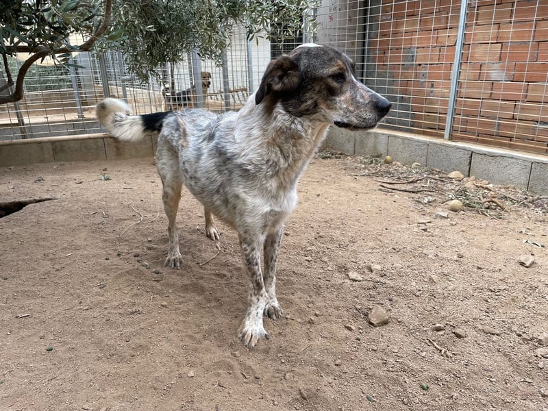 CLODETTE - lieb und menschenbezogen