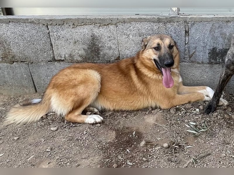 DANNY - sensibel & menschenbezogen