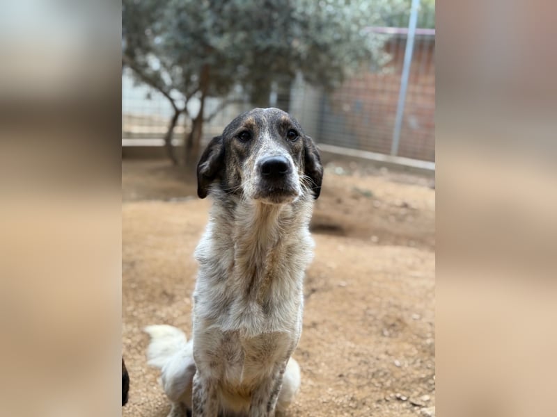 CLODETTE - lieb und menschenbezogen