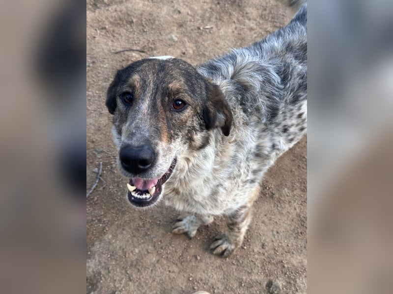 CLODETTE - lieb und menschenbezogen