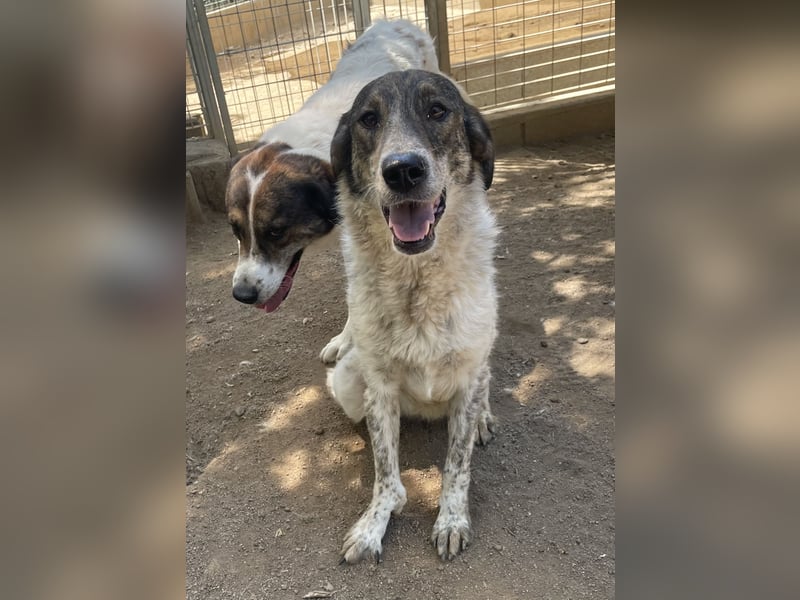 CLODETTE - lieb und menschenbezogen