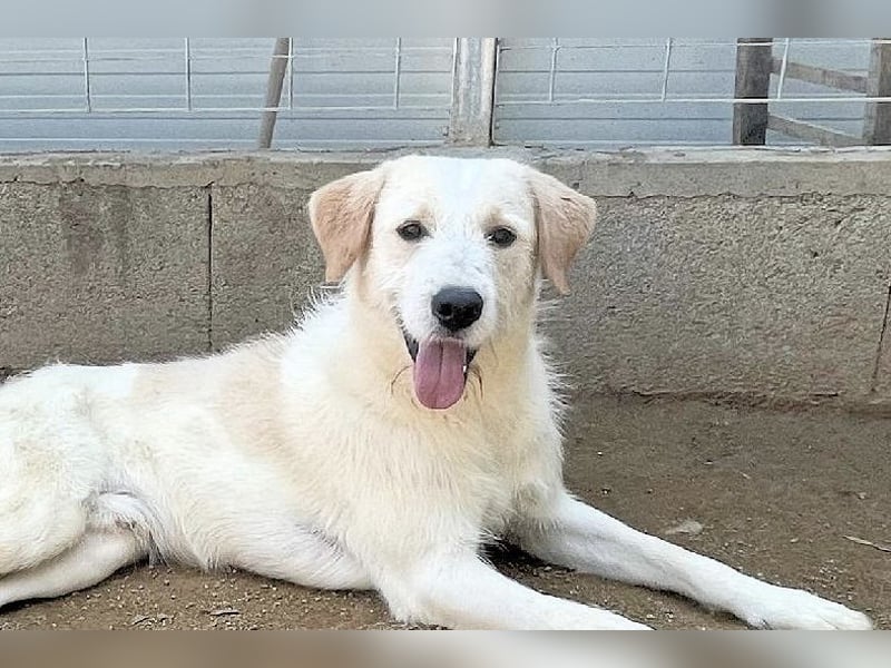 ALBERT - soooooo nett & toll