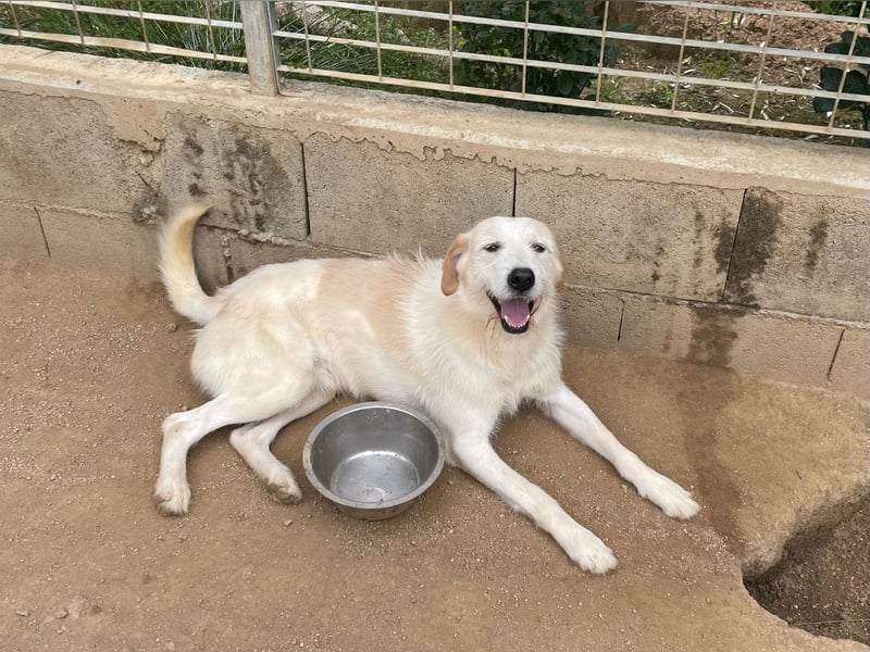 ALBERT - soooooo nett & toll