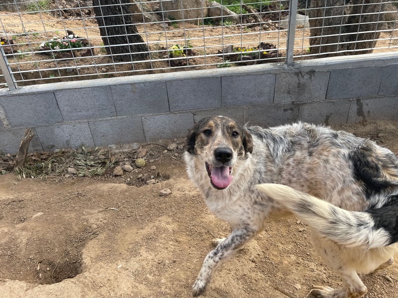 CLODETTE - lieb und menschenbezogen